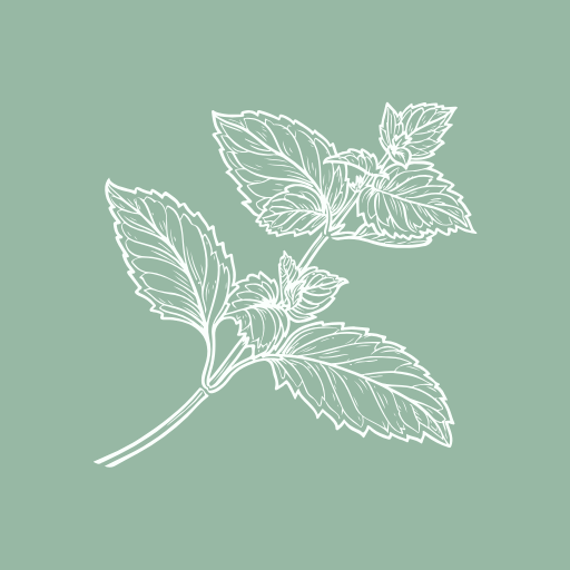 SocialMint Logo (512 x 512 px) (1)